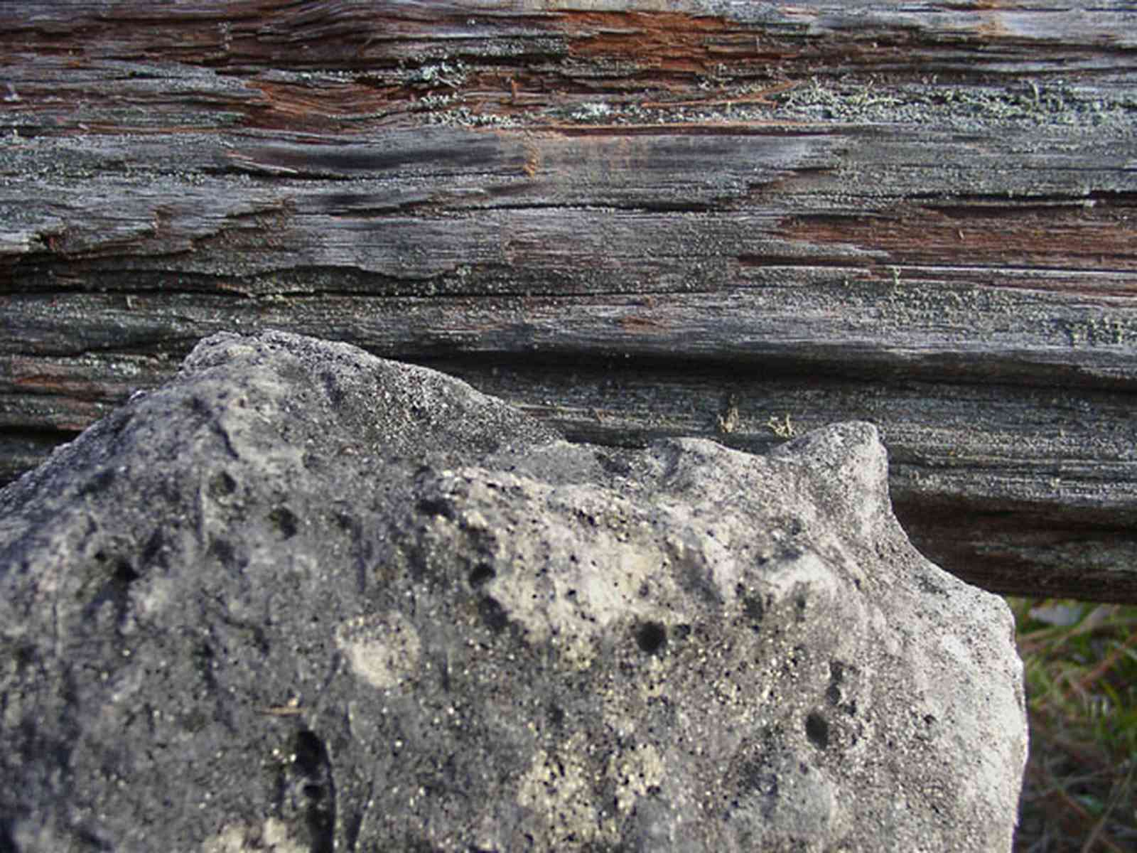 Chipley:-Falling-Waters-State-Park_03.jpg:  limestone rock, mineral deposit, pine log