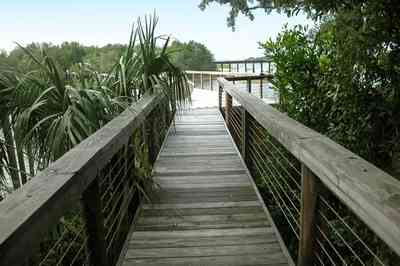 East-Hill:-1801-East-La-Rua-Street_14.jpg:  deck, pier, boat house, palmetto bush, oak tree, railroad trestle, pensacola bay, bayou texar