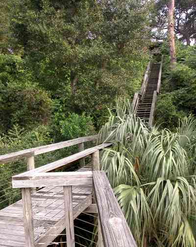 East-Hill:-1801-East-La-Rua-Street_30.jpg:  boat, pier, deck, boardwalk, island, pensacola bay, bench, crab trap, railroad trestle