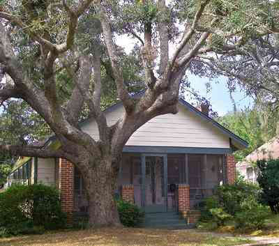 East-Pensacola-Heights:-2900-Jackson-Street_04.jpg:  craftsman cottage, brick columns,  oak tree, spanish moss, chain link fence, front porch