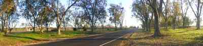 Elberta:-Kleinschmidt-Road-Truck-Farm_10.jpg:  country road, pecan orchard, truck farm, alabama, highway