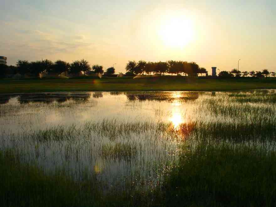 Gateway-District:-Admiral-Mason-Park_08.jpg:  lake, swamp, marshland, bayfront parkway