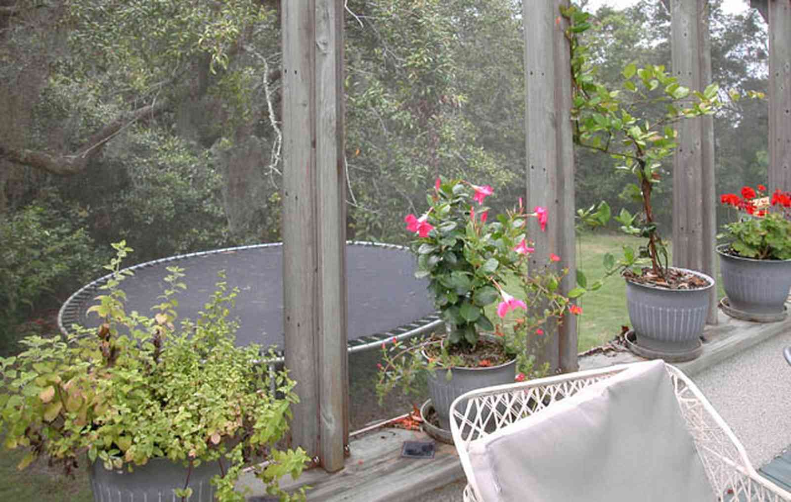 Gulf-Breeze:-92-High-Point-Drive_17c.jpg:  screened porch, trampoline, porch furniture, geranium, oak trees