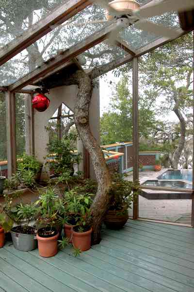 Gulf-Breeze:-92-High-Point-Drive_18.jpg:  screened-in porch, oak tree, potted plants, swimming pool, gulf overlook, deck, 
