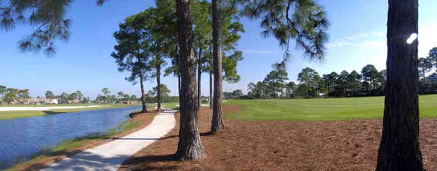 Gulf-Breeze:-Tiger-Point-Golf-Club_04.jpg:  short leafed pine trees, lagoon, pine straw ground cover, golf course, fairway