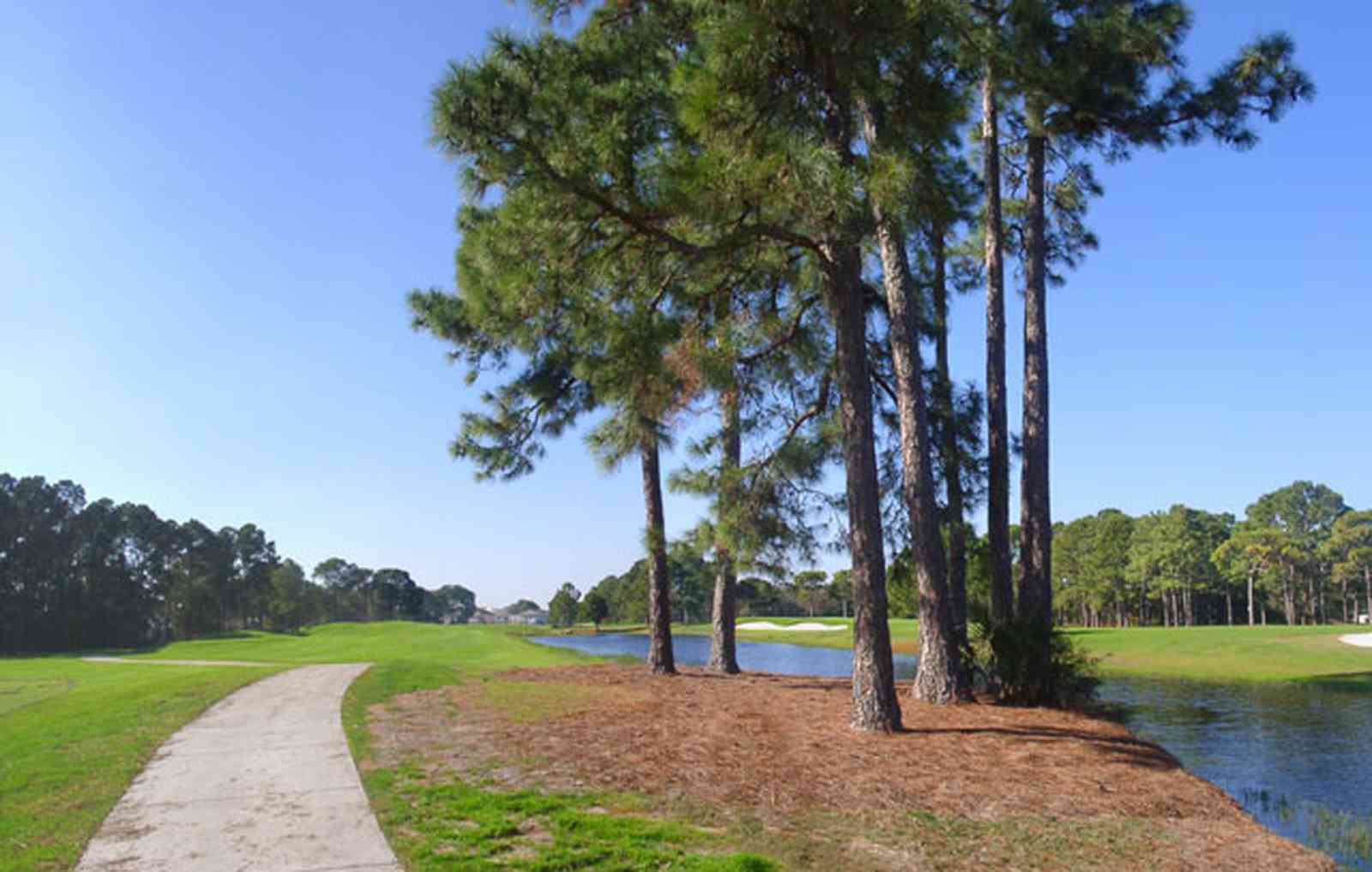 Gulf-Breeze:-Tiger-Point-Golf-Club_05.jpg:  golf course, fairway, lagoon, short leaf pine tree, fairway