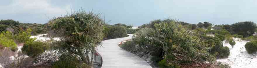 Gulf-Islands-National-Seashore:-Dunes-Nature-Trail_02.jpg:  walkway, boardwalk, gulf of mexico, dunes, quartz sand, national park service, oak trees