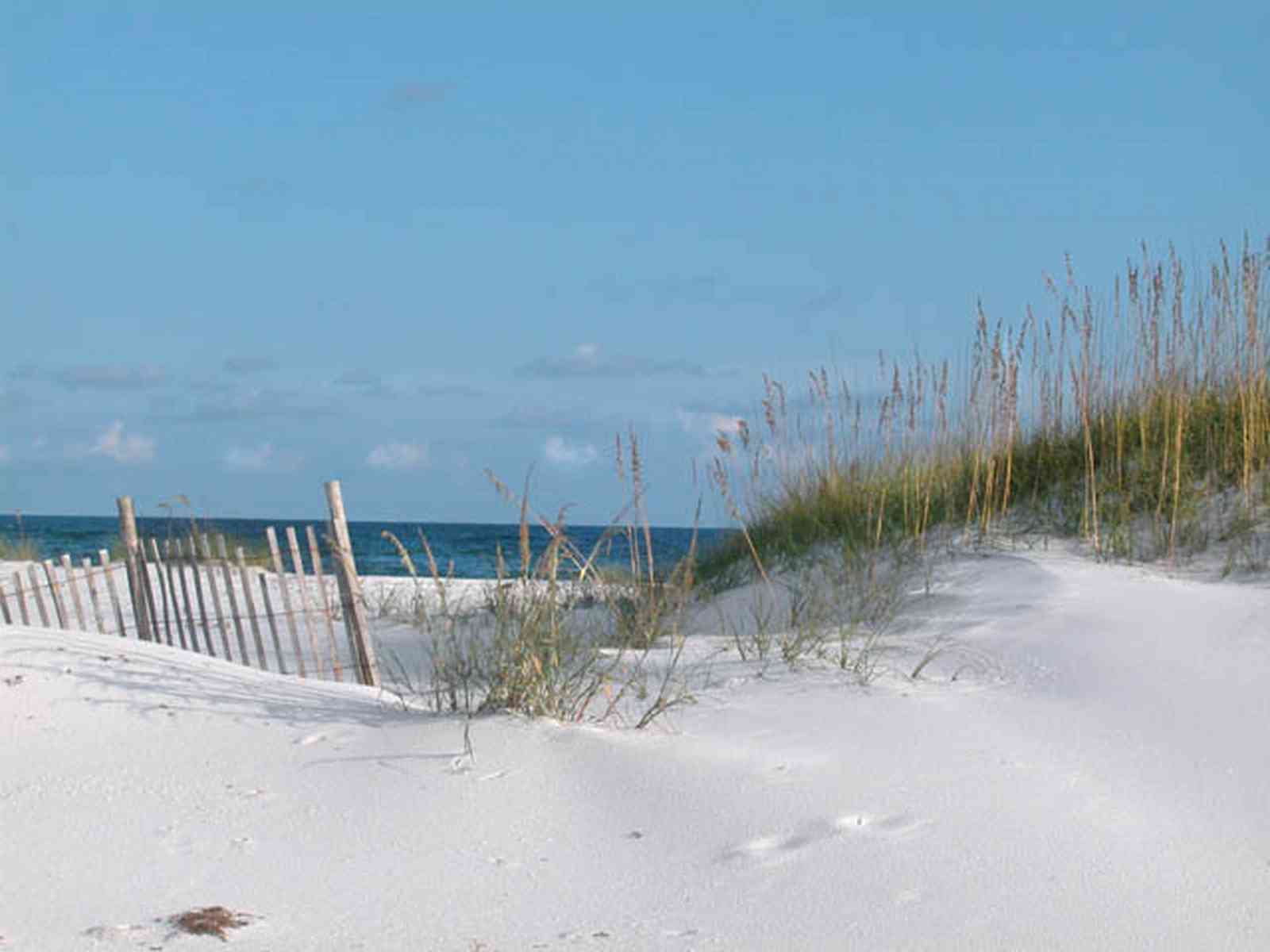 Gulf-Islands-National-Seashore:-Dunes:-9.2-Miles_03.jpg:  dune fence, quartz sand, sea oats, gulf of mexico, surf, beach, barrier island, 