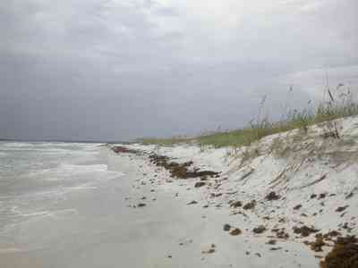 Gulf-Islands-National-Seashore:-Fort-Pickens:-Battery-234_07.jpg:  dunes, sea oats, sea weed, surf, barrier island, gulf of mexico, crystal sand