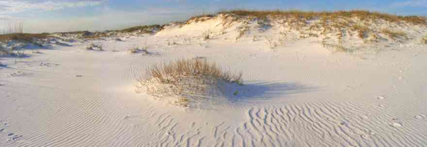 Gulf-Islands-National-Seashore:-Fort-Pickens:-Dunes_01.jpg:  dunes, sand, fort pickens
