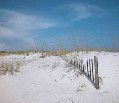 Gulf-Islands-National-Seashore:-Langdon-Beach_25.jpg:  dunes, sea oats, dune fence, quartz sand, gulf of mexico, barrier island