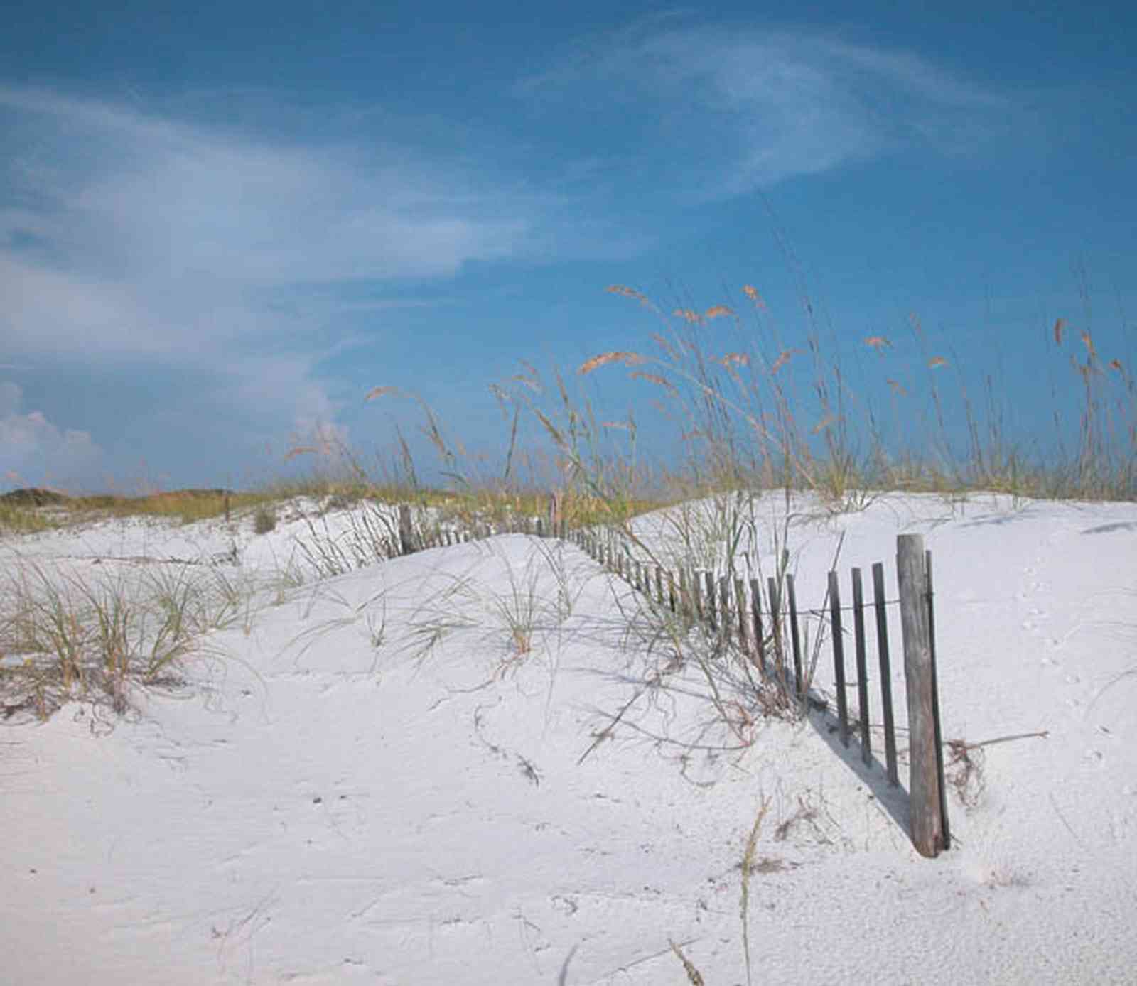 Gulf-Islands-National-Seashore:-Langdon-Beach_25.jpg:  dunes, sea oats, dune fence, quartz sand, gulf of mexico, barrier island