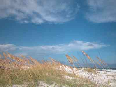 Gulf-Islands-National-Seashore:-Parking-Lot-9_05.jpg:  sea oats, mixed skies, quartz sand, barrier island, surf, dunes