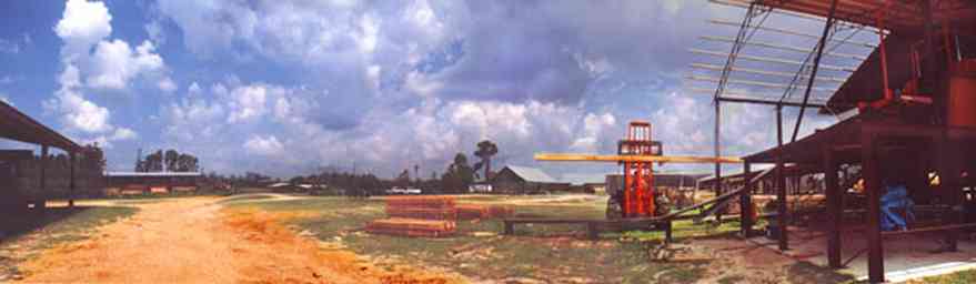 Harold:-Wilson-Lumber-Mill_8.jpg:  sawmill, drying shed, cyprus lumber