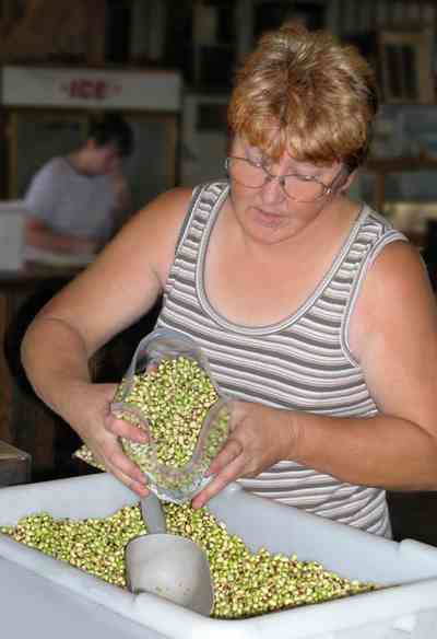Hollandtown:-Holland-Farm:-Pea-Patch_02a.jpg:  barn, produce sales, purple-hulled peas