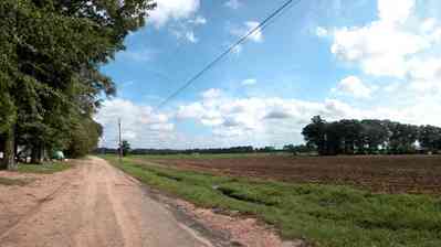 Hollandtown:-Holland-Farm:-South-Field_03.jpg:  country road, dirt road, tilled field, crop, pumpkin patch. oak trees, sweet gun tree, telephone line