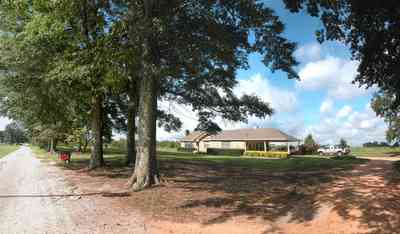 Hollandtown:-Holland-Farm:-South-Field_05.jpg:  water oak trees, farmhouse, truck, dirt road, country road, farm, farmer