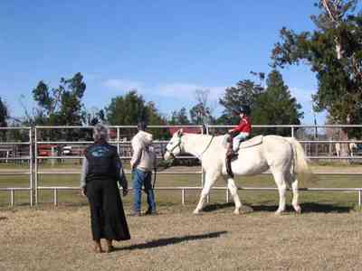Leaning-Post-Ranch_14.jpg:  horses, ranch, farm, barn