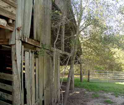 Milton:-Green-Goat-Farm_01.jpg:  barn, rough-hewn lumber, heart-pine lumber, goat