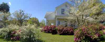 Milton:-Historic-District:-Escambia-St-House_03.jpg:  victorian home, azalea buses