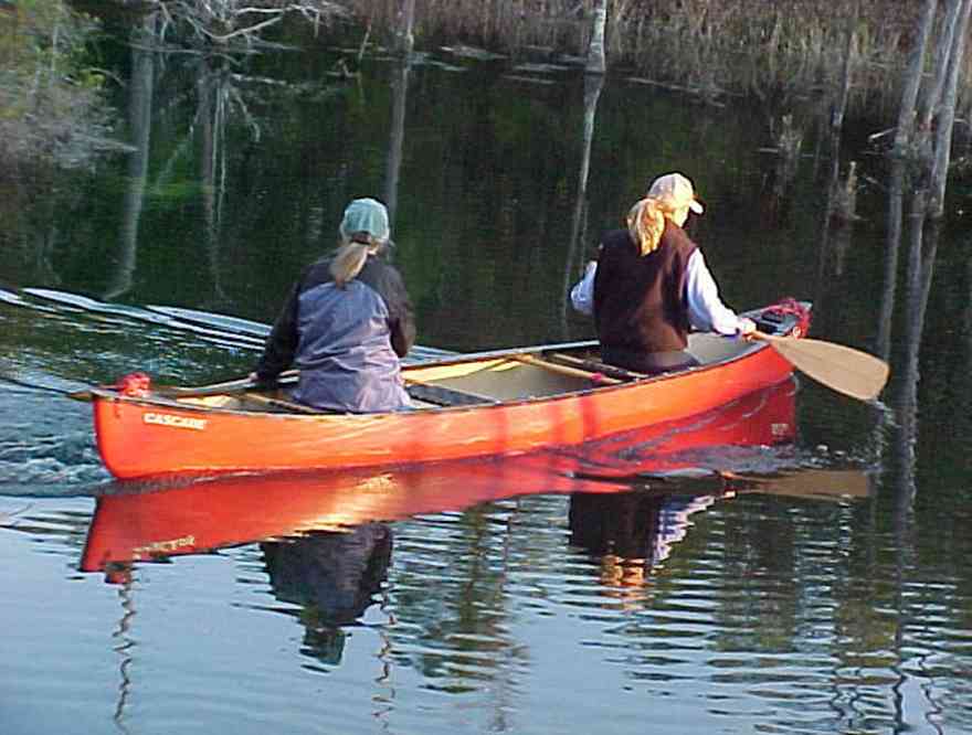 Milton:-Pond-Creek_00.jpg:  canoe, white oak tree, pitcher plant, blackwater, wildlife refuge, martha symoniak, olntv