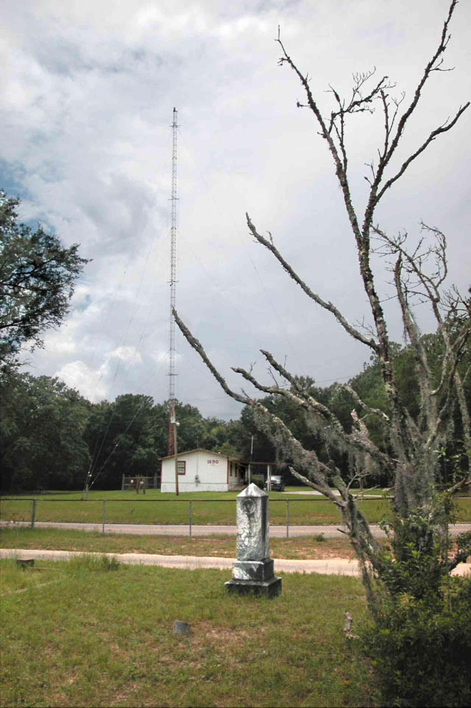 Milton:-WECM_01.jpg:  tombstone, radio tower, spanish moss, marble grave marker, dead tree, a.m. station, christian radio station