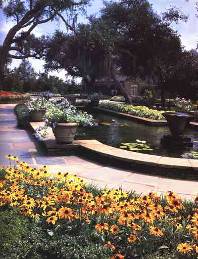 Mobile:-Bellingrath-Gardens_05.jpg:  forest, oak trees, spanish moss, country road, two-lane road