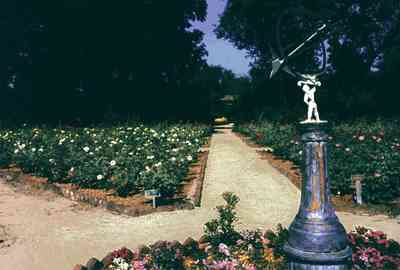 Mobile:-Bellingrath-Gardens_08.jpg:  forest, oak trees, spanish moss, country road, two-lane road