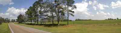 Molino:-Green-Farm_05.jpg:  pasture land, cumulus clouds, cattle, barn, highway, country road