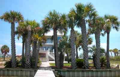 Navarre:-7332-Grand-Navarre-Blvd_06.jpg:  sea wall, deck, dock, pier, palm trees, beach house