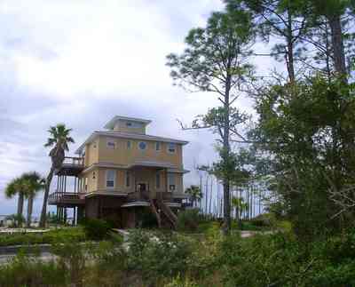 Navarre:-Biscayne-Pointe-Drive-House_06.jpg:  palm tree, pine tree, house, water, beach, swamp, wet land