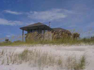 Pensacola-Beach:-Hermosa-St-Homes_08.jpg:  dunes, sea oats, quartz sand, santa rosa island, gulf of mexico