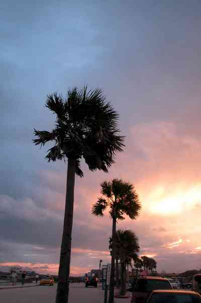 Pensacola-Beach:-Sunset_08.jpg:  palm tree, sunset, tropical storm, mixed skies, parking lot, amphitheater, island authority, sheriff station, 