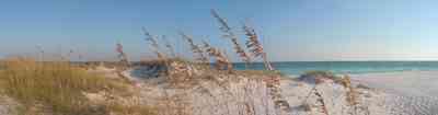 Pensacola-Beach:-Waterfront_02.jpg:  sea oats,seashore, gulf of mexico, dune, sea oats, surf, waves