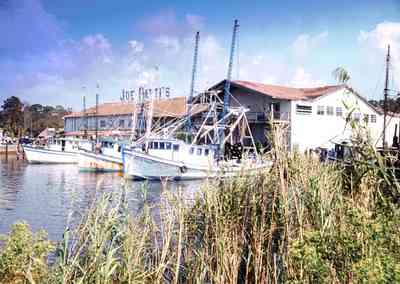 Pensacola:-Downtown:-Joe-Patti-Seafood_02.jpg:  joe patti's seafood, fishing boat, store, marsh grass, 