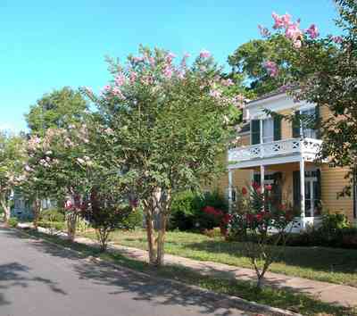 Pensacola:-Historic-Pensacola-Village:-Dorr-House_12.jpg:  crepe myrtle trees, folk victorian house, museum house, 