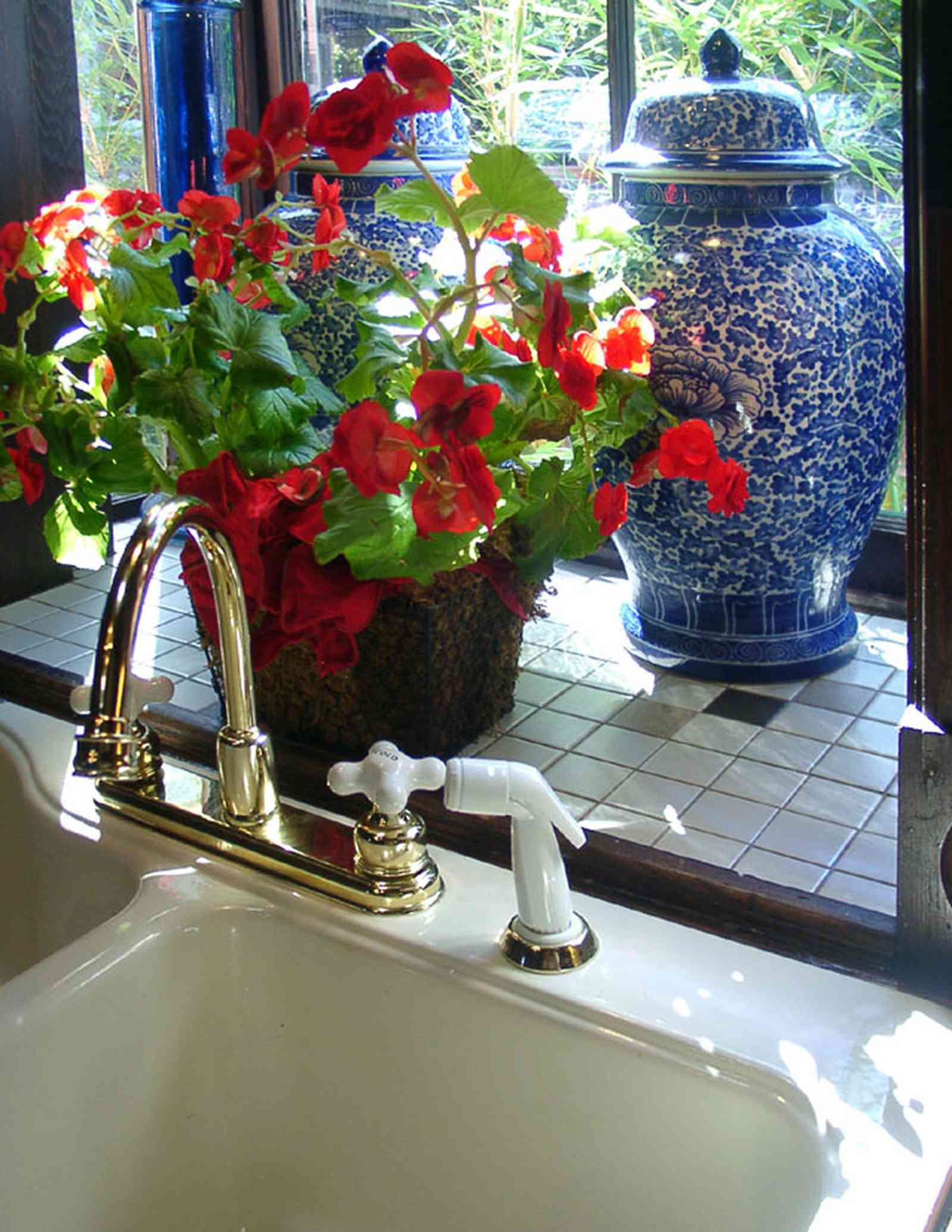 Pensacola:-Seville-Historic-District:-433-East-Zaragoza-Street_35.jpg:  ginger jar, blue willow china,sink, faucet, geramium