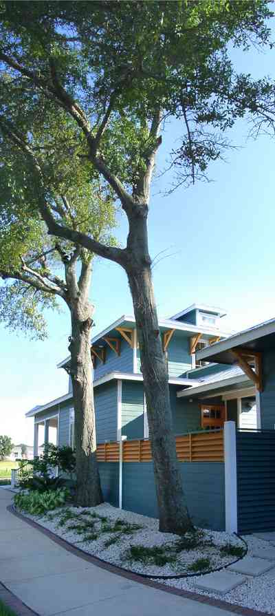 Pensacola:-Seville-Historic-District:-501-East-Romana-Street_02.jpg:  cottage, house, home, oak tree