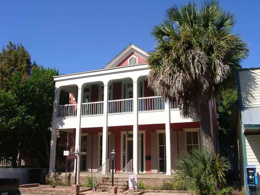 Pensacola:-Seville-Historic-District:-Wade-Wilson-Accounting-Service_01.jpg:  palm tree