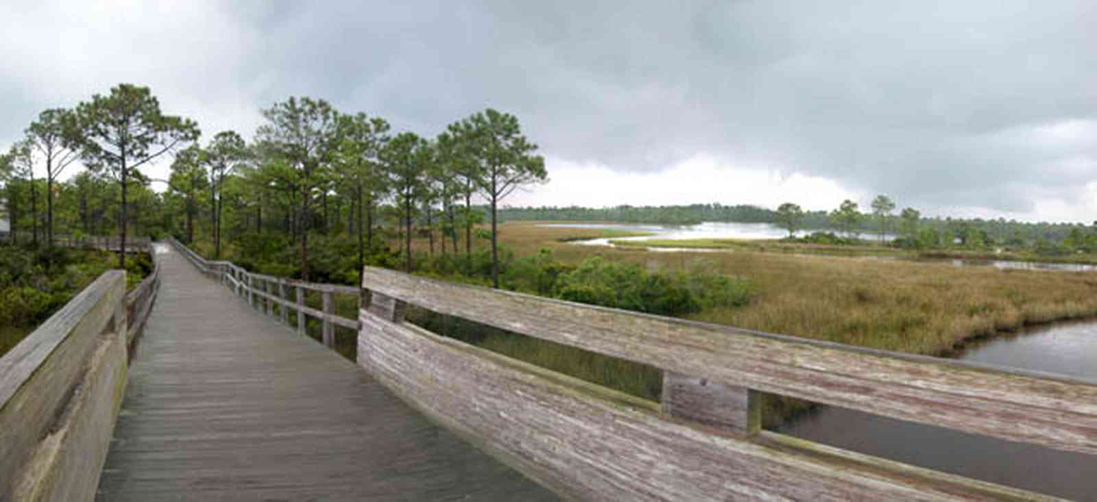 Perdido-Key:-Big-Lagoon-Recreational-Area_10.jpg:  wooden walkway, bridge, deck, pier, marsh, saltmarsh, bayou, pine trees, sawgrass, state park, recreational area, perdido key