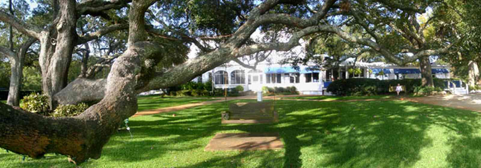 Sanders-Beach:-Pensacola-Yacht-Club_02.jpg:  oak tree, sail, lawn, club