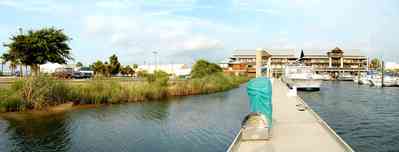 Seville+Harbor+Marina_08-1+WEB.jpg:  saltmarsh, needle grass, palm tree, restaurant, dock, deck, saw grass, coastal, 