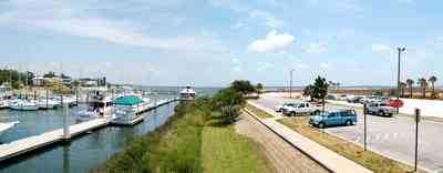 Seville+Harbor+Marina_14+WEB.jpg:  parking lot, palm trees, port of pensacola, dock, 