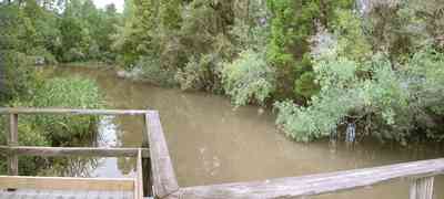 University-Of-West-Florida:-Nature-Trail_01.jpg:  swamp, marsh, deck, walkway