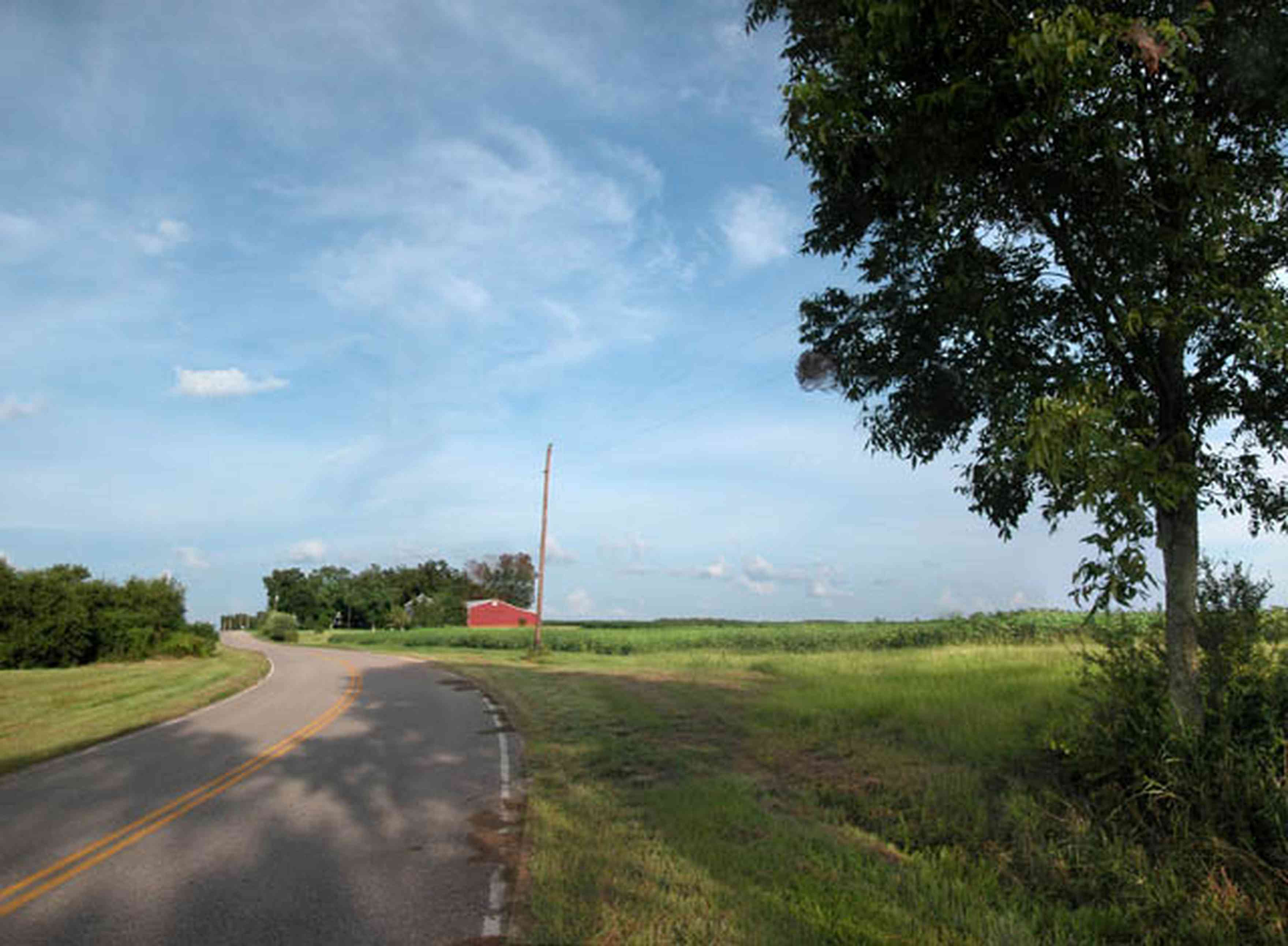 Walnut-Hill:-4821-Morgan-Road_00.jpg:  pecan tree, cotton field, country road, farmland, red barn, farmer, menonite farm