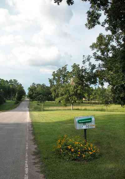 Walnut-Hill:-5490-Arthur-Brown-Road_02.jpg:  mailbox, country road, two-lane road, pecan orchard