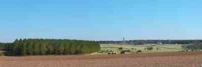 Walnut-Hill:-Cunningham-Farm_00.jpg:  pine trees, cows, hay bales, water tower, farmland, farm, beef cattle, rolling hills, 