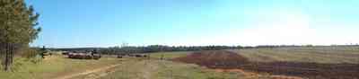 Walnut-Hill:-Cunningham-Farm_03.jpg:  pine trees, cows, hay bales, water tower, farmland, farm, beef cattle, rolling hills