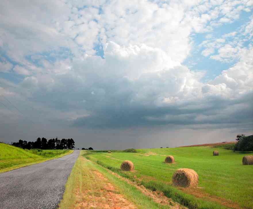 Kansas-Road-Fields-card_02.jpg:  farm, hay, round bale, cumulus cloud, pasture, rolling hills, farm