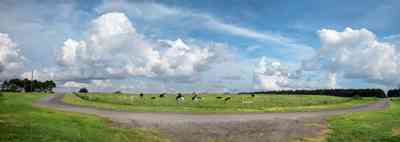 Walnut-Hill:-Kansas-Road:-Dairy-Farm_03.jpg:  silo, dairy cows, pond, catfish pond, lake, farm, farmland, grazing pasture, pasture land, curving road, country road